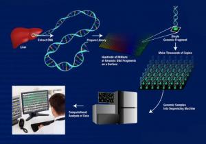 DNA Sequencing Equipment and Services Market