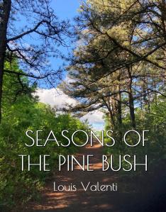 Seasons of the Pine Bush by Louis Valenti