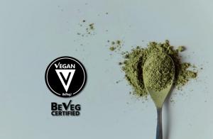 Why Plant-Based Protein Powders Demand Vegan Certification 1