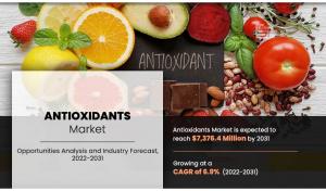 Antioxidants Market 2031