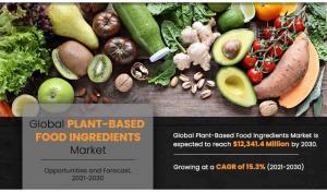 Plant-based Food Ingredients Market
