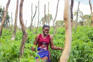 The ‘Forgotten’ Gender in the Fight Against Climate Change in Africa: How Climate Smart Agriculture is Empowering Women 1