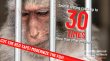 Animal Wellness Groups Urge NIH to Defund Primate Research Centers and Redirect Billions in Savings to Better Science