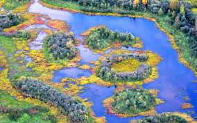 Facts and Factors Market Research has published a new report titled “Mitigation Banking Market By Type (Wetland or Stream Banks, Forest Conservation, and Conservation Banks) and By Verticals (Construction & Mining, Transportation, Energy & Utilities, Healthcare, and Manufacturing): Global Industry Perspective, Comprehensive Analysis, and Forecast, 2018 – 2027” Mitigation Banking Market