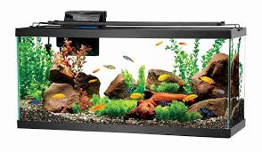 Updated Research Report of Fish Tank Market: Fish Tank