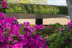 Pink Azaleas blanket The Houstonian's property.