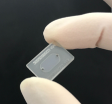 Redbud Labs announced today an expansion to its cartridge-ready STR™ (“sorter”) microfluidic chip family with the introduction of STR™BeadPak STR BeadPak, Redbud Labs' cartridge-ready sample prep microfluidic chip