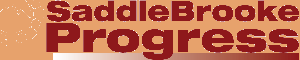 Saddle Brooke Progress