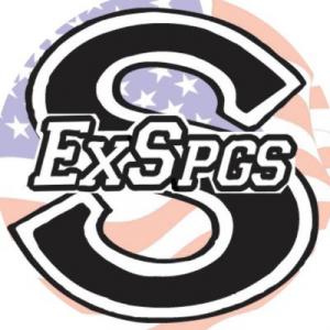 Excelsior Springs Standard