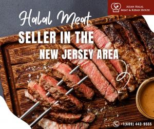 Asian Halal Meat& Kebab House serves up Indian dishes in NJ 5