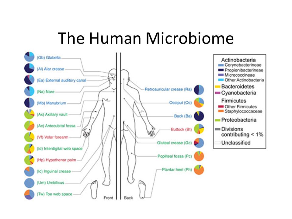 Микробиом человека весит от 1500 до. Проект микробиом человека Human Microbiome Project. Микробиома человека это. Хьюмен. Презентации микробиом человека.