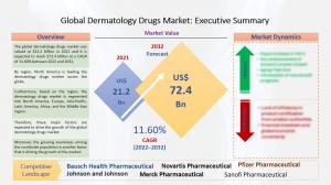 Dermatology Drugs Market is Expected to Reach US$ 72.4 Billion by 2032 and Grow at a CAGR 11.60% between 2022-2032 1