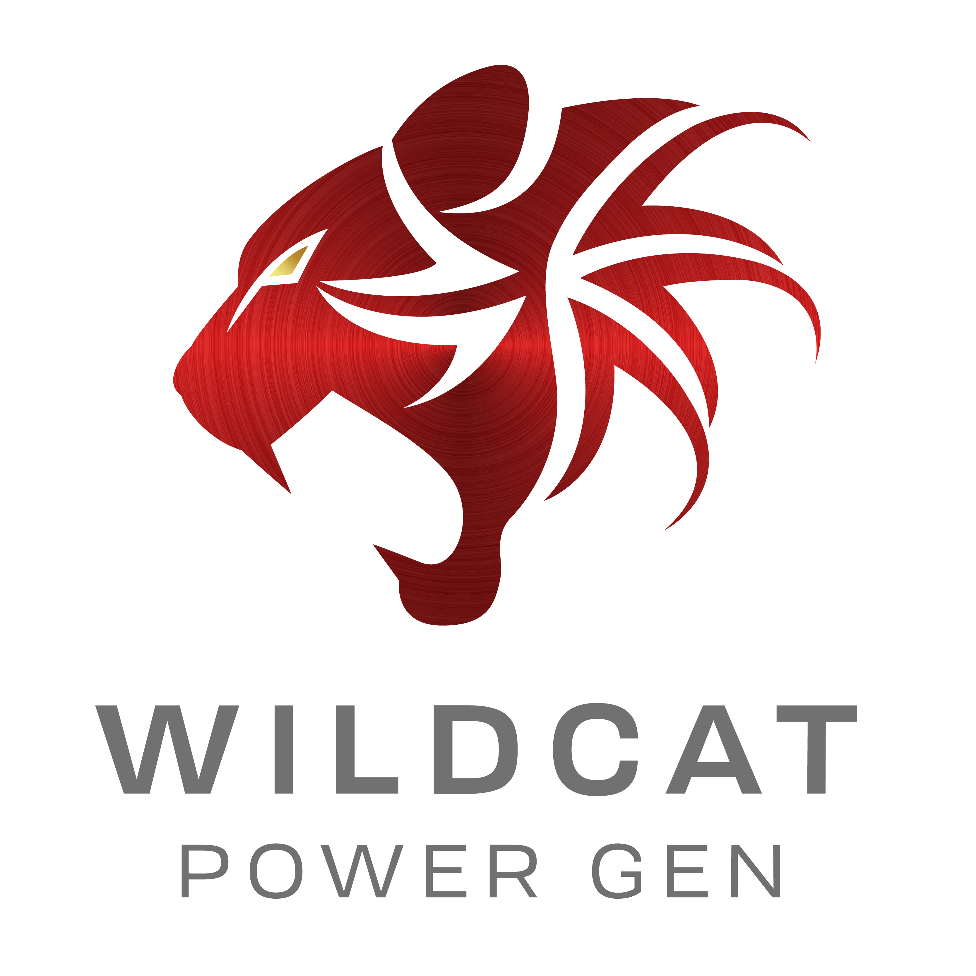 Joining The Front Lines Engines LPG LLC DBA Wildcat Power Gen Launches