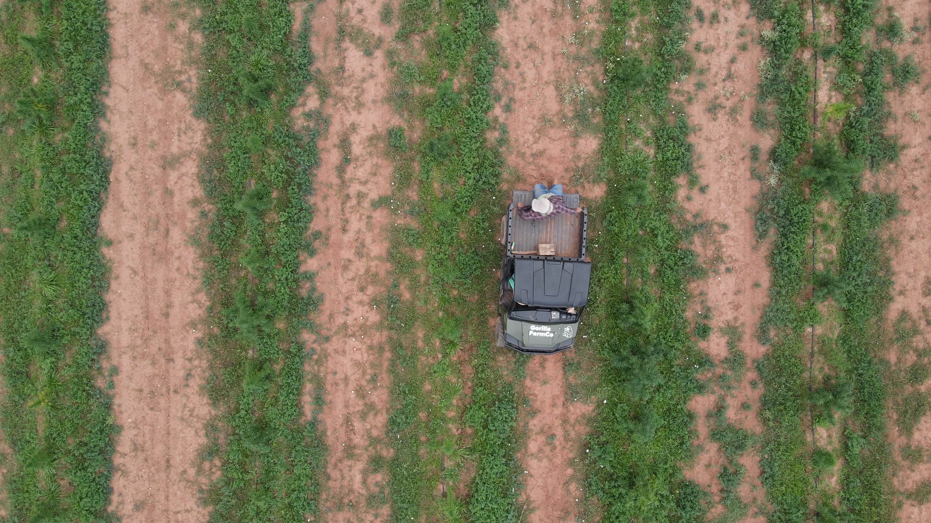 GREEN GORILLA LAUNCHES REGENERATIVE FARMING INITIATIVE FOR EARTH MONTH