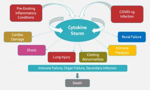 Diagram of cytokine storm complications leading to death.