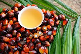 Facts and Factors have authored “Sustainable Palm Oil Market By Type (Palm Kernel Oil, Crude Palm Oil, and Others), By End-User (Edible Oil, Cosmetics, Surfactants, Bio-diesel, and Others), and By Regions: Global Industry Perspective, Comprehensive Analysis, and Forecast, 2019 - 2026” Sustainable Palm Oil Market Size