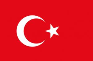 Premium Quality Extra Virgin Turkish Olive Oil
