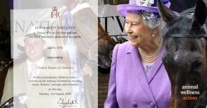 Her Majesty, Queen Elizabeth, II Recognizes Marty Irby | Photo: Craig Swanson Design