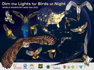 The World Migratory Bird Day 2022 poster features nocturnally migrating birds and the slogan "Dim the Lights for Birds at Night."