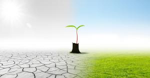 Climate Impact