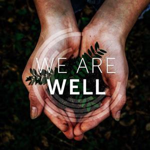 WELL, Belnor, Belnor Engineering, IWBI, building, green building, health, healthy building, architecture, design, construction