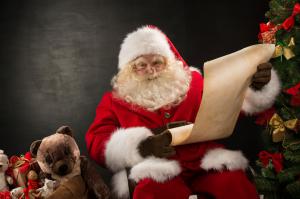 Looking for something to do with the whole family this Christmas season? Starting November 28 and running through January 4, The Houstonian will be your one-stop-shop for safe and socially distanced holiday fun Santa reading list