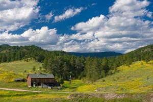Wyoming Black Hills Living Land