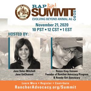 Thought leaders will tackle the BIG question: The summit will be moderated by Renee King-Sonnen and Jane Velez-Mitchell