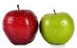 Loangevity Mortgage Highlights Key Differences Between Traditional and Reverse Second Mortgages for Today’s Homeowners