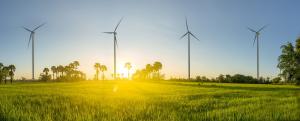 The Petraco Group has signalled its commitment to a sustainable, low carbon future Petraco Oil Company SA shows commitment to sustainability