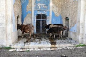 La mosquée à Aghdam