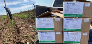 Provivi FAW dispenses in original packaging, ready to be installed in the corn field