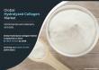 Hydrolyzed Collagen Market Revenue to Boost Cross $1,466.5 Million, At a Booming 5.9% Growth Rate by 2026