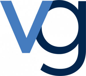 Valor Global® Pin Logo