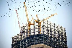 Birds flying off a building under construction surrounded by cranes