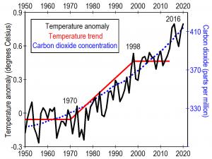 “Detailed changes in global temperature trends since 1950 show a remarkably close correlation with changes in the ozone layer” according to Dr Carbon dioxide concentrations (dashed blue line) have increased steadily while annual average temperature anomalies (black line) changed very little from 1950 to 1970 and from 1998 to 2014 (red line).