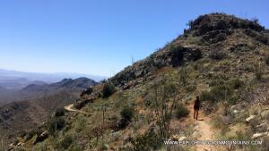 Do you love to hike? The Tucson Mountains, with its lush Sonoran Desert landscape and volcanic rock formations, is one of the most unusual hiking locations in the country Hiking Trail in the Tucson Mountains