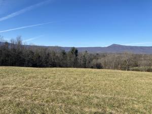 ‘Mont-View’ is 20.2± acre mountain view estate with a 4 bedroom 3 bath country home multiple barns, outbuildings and a 1 bedroom 1 bath cottage/office
