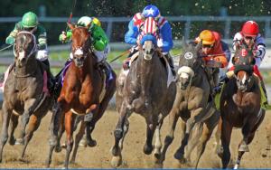 Horse racing death