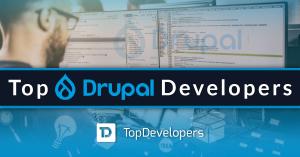 The Top Drupal Development Companies of February 2021