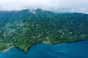With verandahs on all four sides, it is easy to enjoy the stunning Golfo Dulce on one side of the perfectly positioned house, and the pristine rainforest on the other.