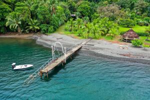 Humpback whales, sea turtles, and dolphins call the Golfo Dulce home, and can be seen right in the front yard.
