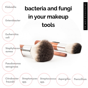 Infographic showing specific types of bacteria and fungi found in cosmetics, makeup brushes and beauty blenders. These include Escherichia coli, Enterobacter, Staphylococcus, Streptomyces, Penicillium and Aspergillus.