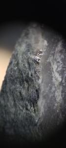 Durango Resources Inc. (TSX.V-DGO) (Frankfurt-86A1) (OTCQB -ATOXF), (the “Company” or “Durango”) reports that recent drilling on its wholly owned Trove Property at Windfall Lake, Québec has intersected visible (“native”) silver in its latest drill hole Native Silver