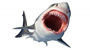 Graphic illustration of the Megalodon shark