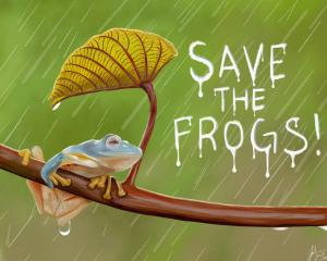Frog Art by Julienne Zhao