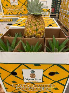 Colorada Fresh Pineapples air shipping boxes