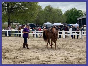 Tammy Bledsoe, Georgia Horse Fair
