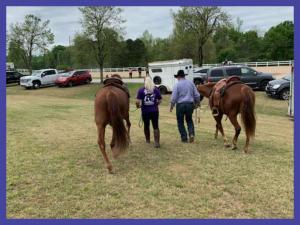 Carl and Tammy Bledsoe, Georgia Horse Fair ‘21