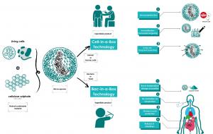 Encapsulation of cells and bacteria using Austrianova's Cell-in-a-Box and Bac-in-a-Box technologies